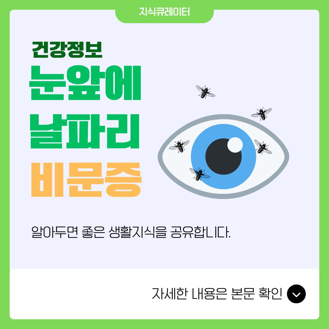 눈앞 날파리 비문증