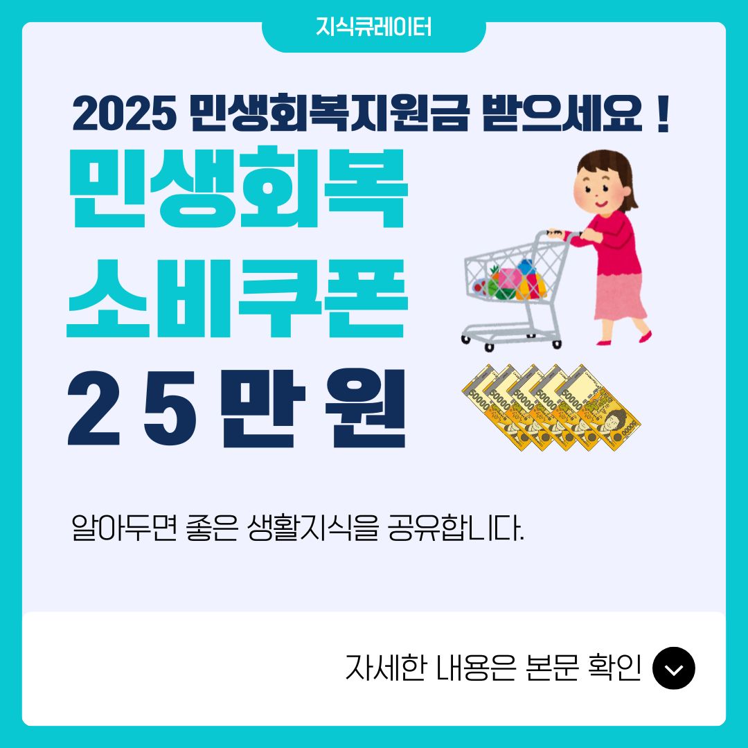 2025 민생회복 소비쿠폰
